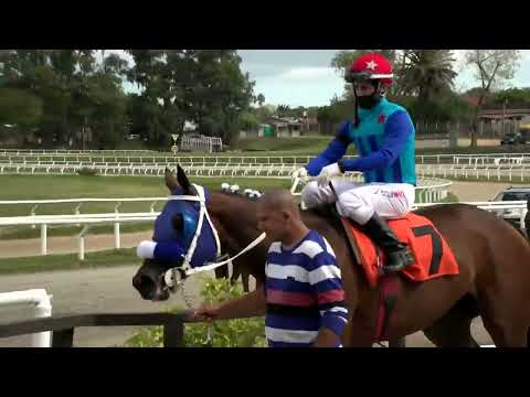 220418 c01 - DOG BRIDE - HIPODROMO LAS PIEDRAS