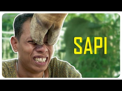 BOGANG KESLENTAK SAPI KURBAN l SAPI l BAKAR EPS 269 l BALADA KAMPUNG RIWIL