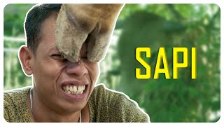 Download lagu BOGANG KESLENTAK SAPI KURBAN l SAPI l BAKAR EPS 269 l BALADA KAMPUNG RIWIL mp3