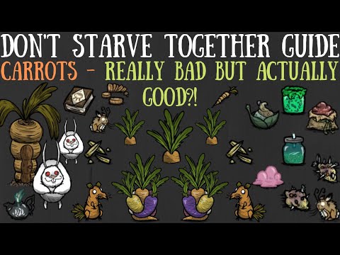 Don't Starve Together Guide: Carrots - Bad But Good?! - Easy Giants, Nutrients & More