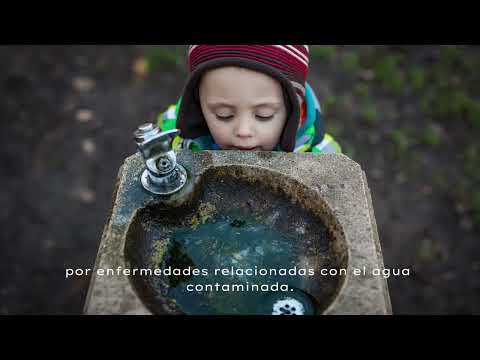 El agua es más importante de lo que pensamos.