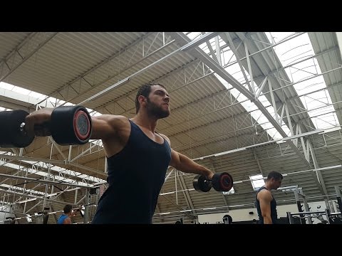 20150811 Lateral Raises 26 lbs / 12 kg x 23 Reps