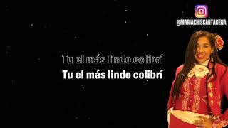 KARAOKE Manifiesto Colibrí - Aterciopelados