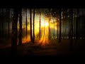 SILOÉ - Que merezca la pena (con letra)