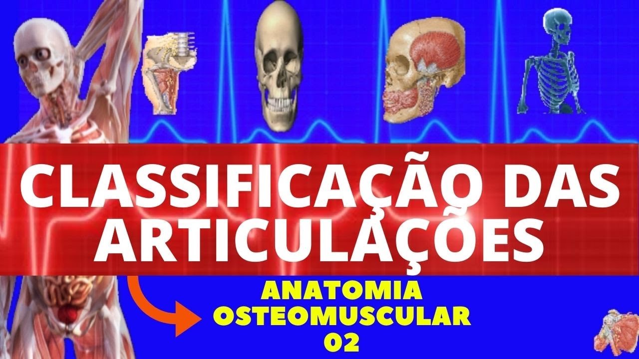 CLASSIFICAÇÃO DAS ARTICULAÇÕES (ANATOMIA HUMANA) - TIPOS DE ARTICULAÇÕES