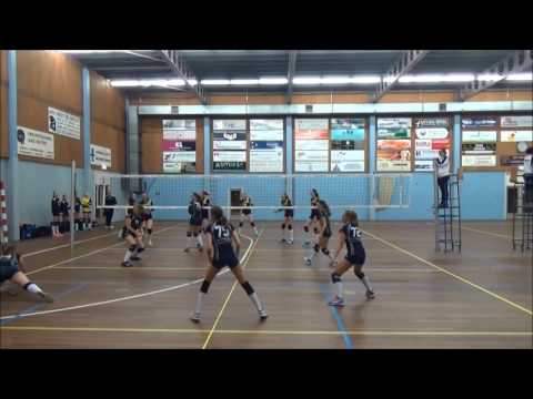 Dinto MA1 - Limes MA1