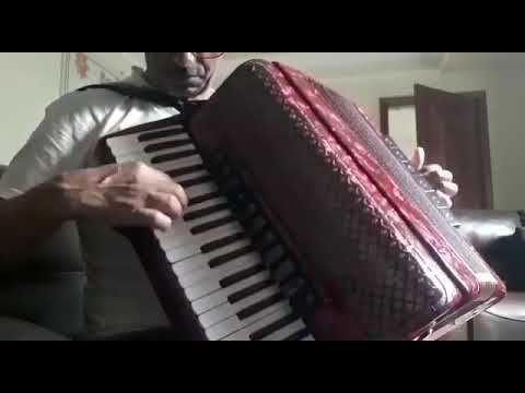 🎹Acordeon Excalibur