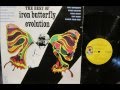 Iron Butterfly Theme , Iron Butterfly ,1971 Vinyl