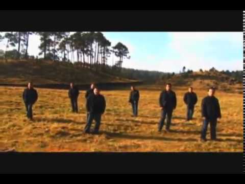 LOS ANIMALES - DOCE ROSAS