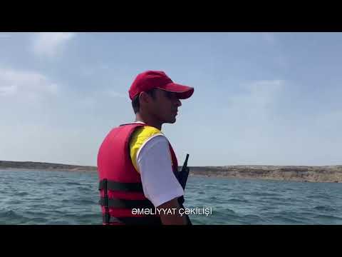 FHN Mətbuat xidmətinin məlumatı
