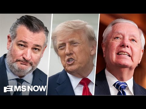 Trump's 'RIDE-OR-DIE' Republican allies in Congress MELTING DOWN over his Iran peace deal proposal