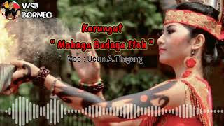 Download lagu Karungut 'LEGEND' lagunya bisa bikin Tidur Zzzzz.... mp3