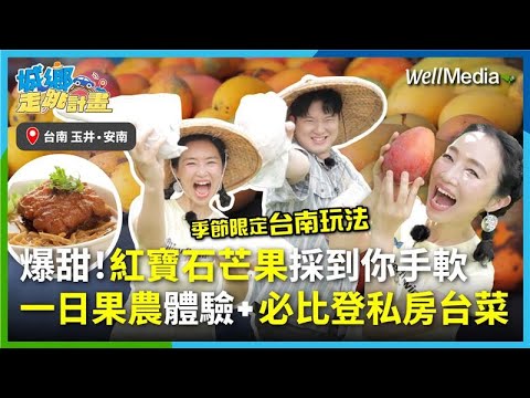 全台超強芒果體驗！爆採季節限定的紅寶石芒果！在地果農親授芒果醬DIY，全台首位米其林必比登總舖師私房菜直接上桌！正港吃好吃滿台南行 Feat.KK【城鄉走跳計畫】EP9‪
