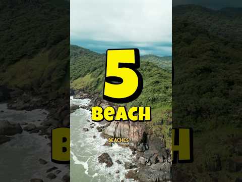 Top 5 Must-Visit Beaches in Goa🌴🌊