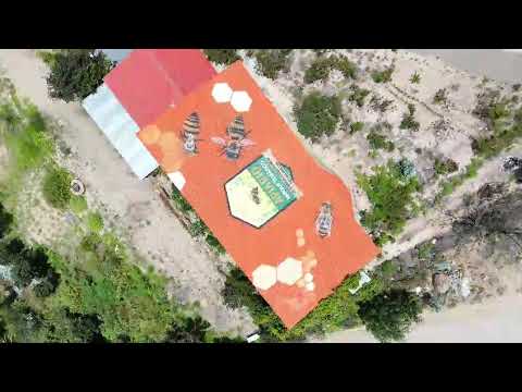 ¡La Abeja MÁS GRANDE del Mundo está en Sutamarchán! 🐝😱 ¿Real o exageración?