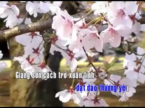 Tình xuân tha hương - Diệu Hiền
