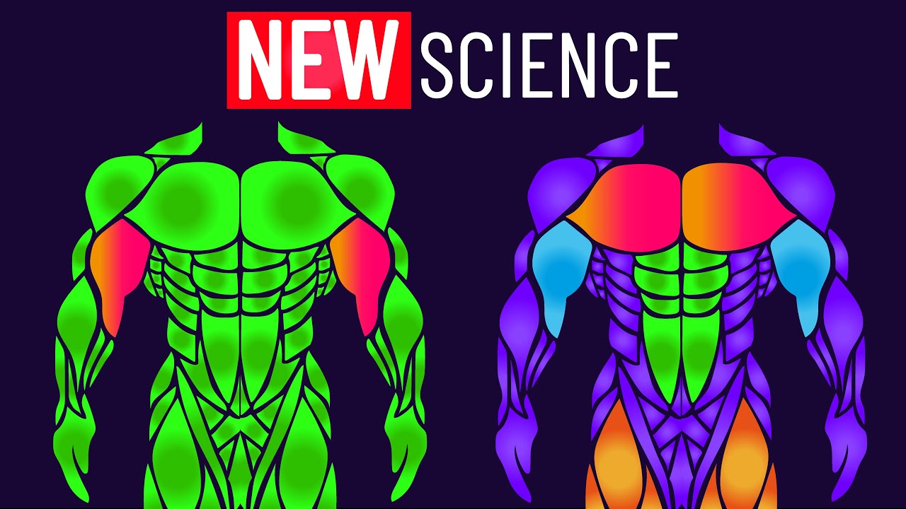 The BEST Training Frequency (New Research)