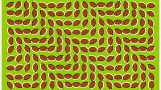 Backing Track - Wayne Krantz - Is Something I Don't Understand Yet