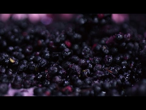 Move Over, Acai. The Maqui Berry Craze Has Arrived