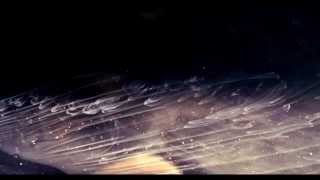 Kenosha Kid -Map of the Universe