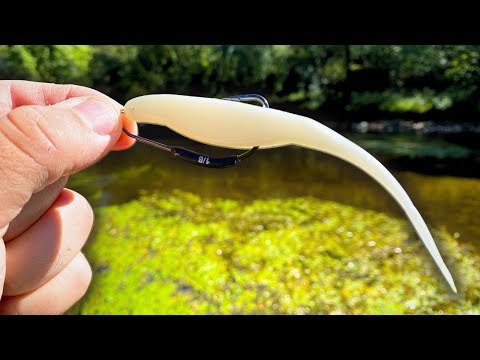 Epic Smallmouth Bass Hits on the Zoom Fluke in the River