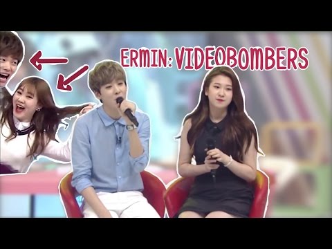 Ermin: Videobombers
