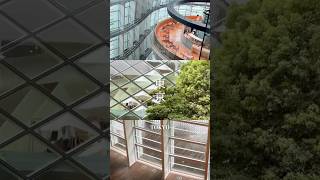 東京の夏 🇯🇵  #東京   #tokyo