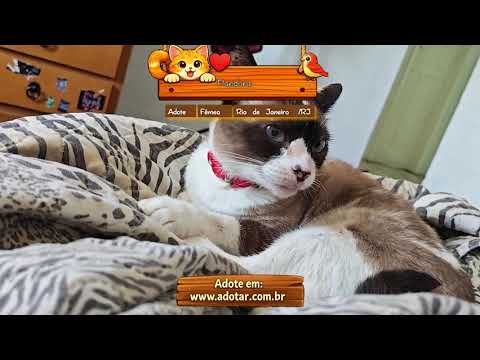 Vídeo de Pandora