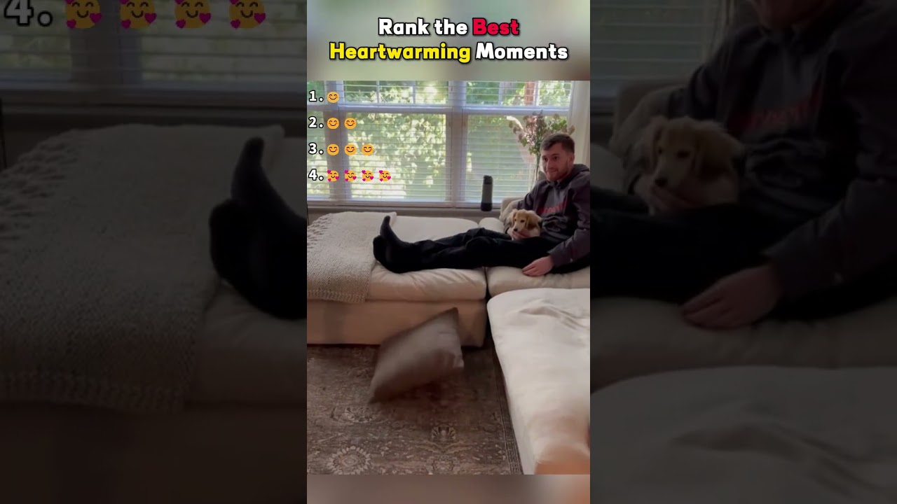 Animals #kindness #love #shorts #fyp #foryou