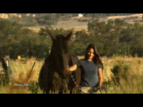 Emotions... - Oscar Lopez (beautiful & relaxing guitar music)