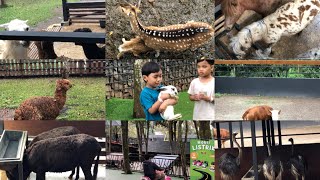 Download lagu The Nice Park Bandung (Mini Zoo & Playground) Ajak si kecil untuk bermain dan belajarr‼️ mp3