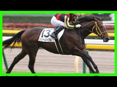 阪神ジュベナイルフィリーズ2017の競馬予想分析…リリーノーブル、2つの期待と不安