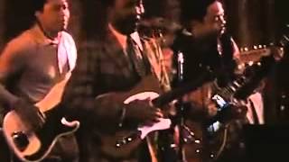 Muddy Waters - Manish Boy - Live 1971