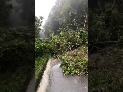 #chuva forte provocou deslizamento de terra causando a interdição da Rodovia Osvaldo Cruz em Ubatuba