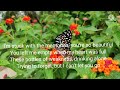 Aidan Martin "Tears Lyrics 🎶" unofficial lyric video.