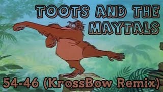 Toots And The Maytals - 54-46 (KrossBow Remix)