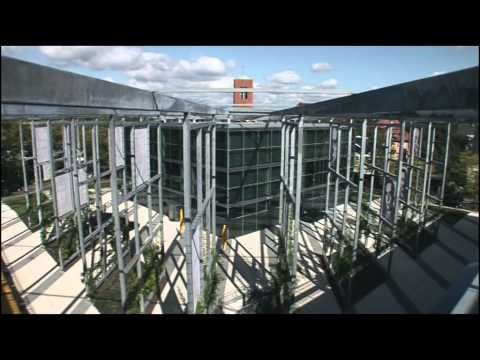 Berlin Freie Üniversitesi