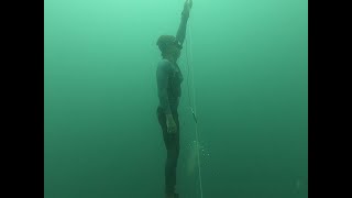 31.9M Free immersion (FIM)
