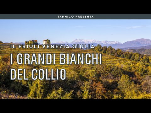 The Great White Wines of the Friulian Collio | Tannico Flying School