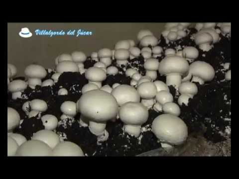 Ancha es Castilla-La Mancha - Villalgordo del Júcar 09.01.2013