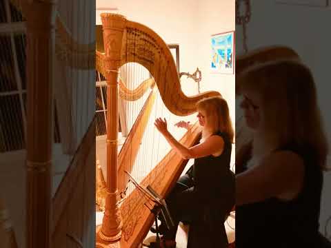 Rhapsody on a Theme by Paganini by Rachmaninoff, arr. for harp by Janet Witman
