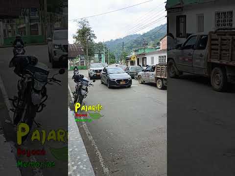 Pajarito Boyacá (Marzo 28/2026)