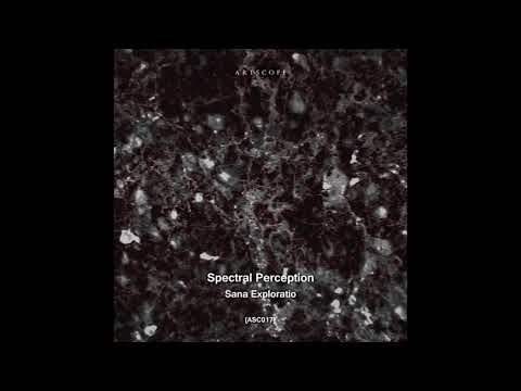 Indefinite Pitch premieres. Spectral Perception - SP10 (Traversable Message Remix) [Artscope]