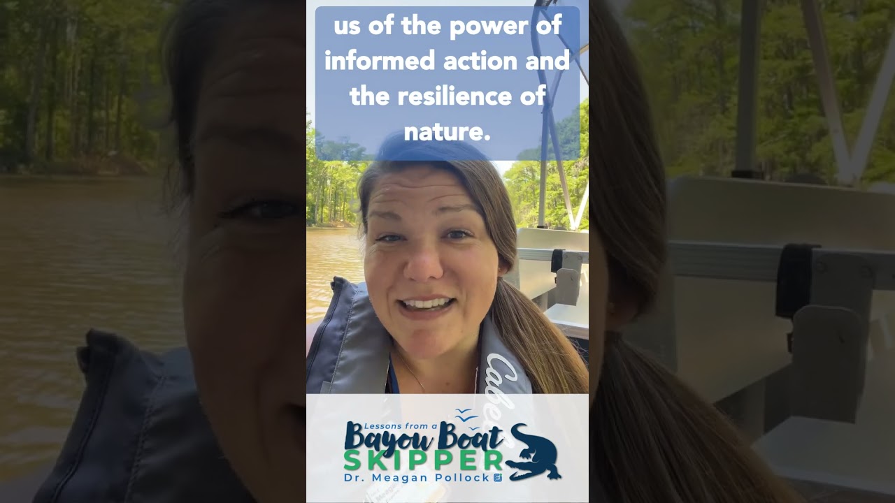 Soaring Above: The Ospreyโs Tale of Resilience and Recovery (Lessons from a Bayou Boat Skipper)