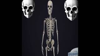 Cover art for stuck inside  finnish skeleton verse