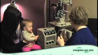 The Shops At Wiregrass Directory The Shops At Wiregrass Directory