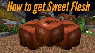 How to get Sweet Flesh! (Hypixel Skyblock)