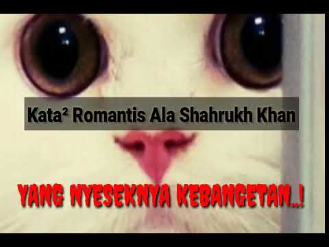 download lagu mp3 mp4 Quotes Dari Film Bollywood, download lagu Quotes Dari Film Bollywood gratis, unduh video klip Quotes Dari Film Bollywood
