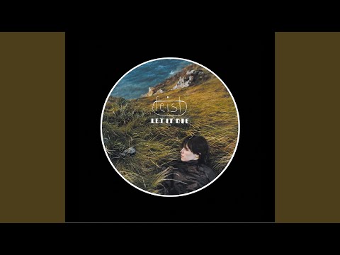 Tout doucement - Feist