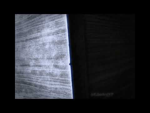 Edw4rd - # song 1 (demo) 